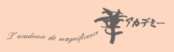 L' academie de magnificence